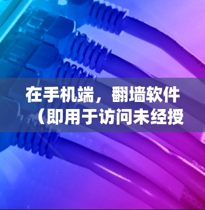 在手机端，翻墙软件（即用于访问未经授权网站的工具）主要包括 Tor、Open Tor、Teej 等。以下是它们的详细分析