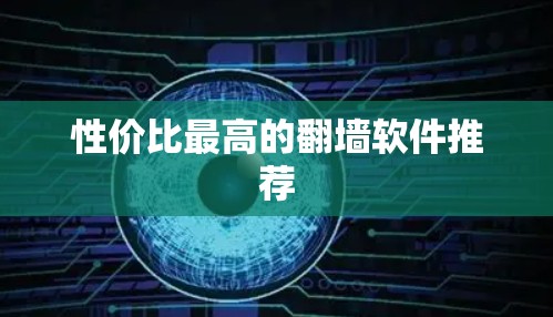 性价比最高的翻墙软件推荐