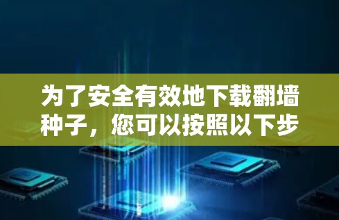 为了安全有效地下载翻墙种子，您可以按照以下步骤操作