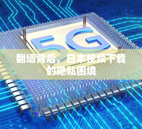 翻墙背后，日本视频下载的隐私困境