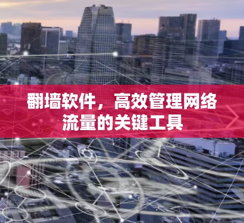 翻墙软件，高效管理网络流量的关键工具