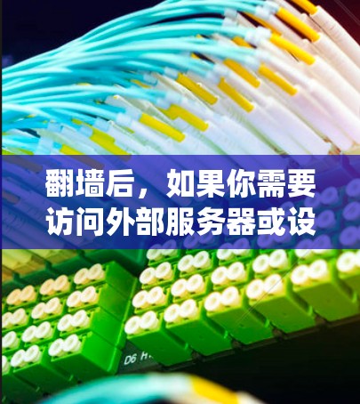 翻墙后，如果你需要访问外部服务器或设备，可以使用以下几种软件或工具绕过防火墙