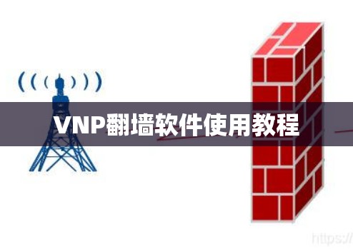VNP翻墙软件使用教程