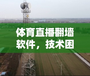 体育直播翻墙软件，技术困境与观众体验的双重挑战
