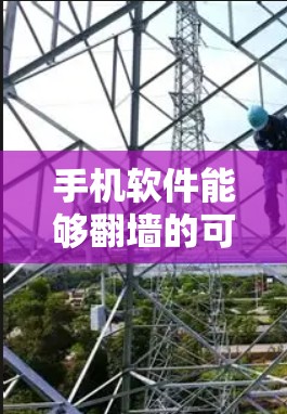 手机软件能够翻墙的可能性较低，主要取决于多种因素。以下是对翻墙的可能性和实现方法的详细分析