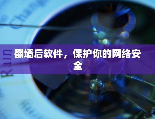 翻墙后软件，保护你的网络安全