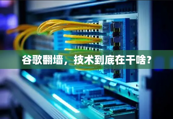 谷歌翻墙，技术到底在干啥？