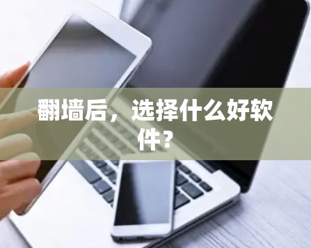 翻墙后，选择什么好软件？