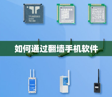 如何通过翻墙手机软件