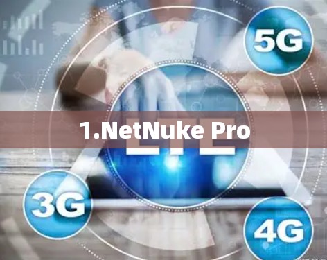 1.NetNuke Pro