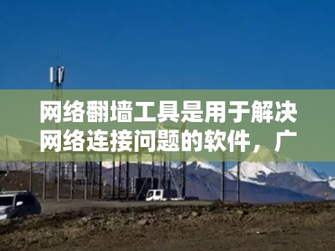 网络翻墙工具是用于解决网络连接问题的软件，广泛应用于用户面对防火墙或其他网络限制时的需求。以下是对网络翻墙工具的详细分类和总结