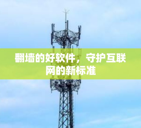 翻墙的好软件，守护互联网的新标准