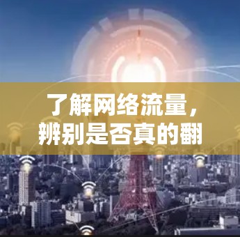 了解网络流量，辨别是否真的翻墙