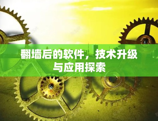 翻墙后的软件，技术升级与应用探索