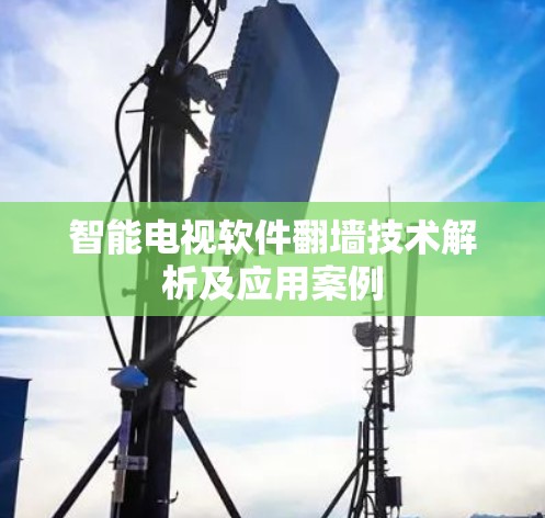 智能电视软件翻墙技术解析及应用案例