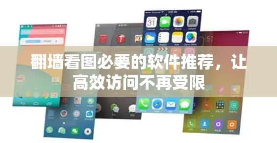 翻墙看图必要的软件推荐，让高效访问不再受限