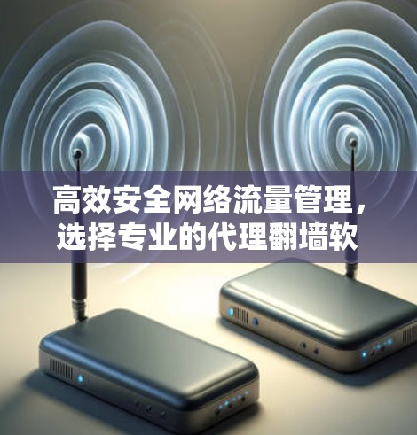 高效安全网络流量管理，选择专业的代理翻墙软件