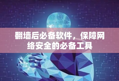 翻墙后必备软件，保障网络安全的必备工具