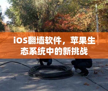iOS翻墙软件，苹果生态系统中的新挑战