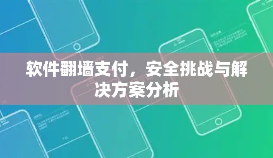 软件翻墙支付，安全挑战与解决方案分析