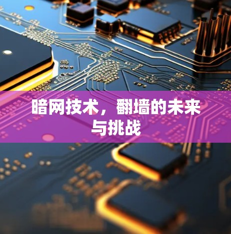 暗网技术，翻墙的未来与挑战