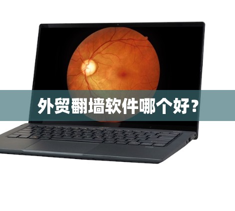 外贸翻墙软件哪个好？