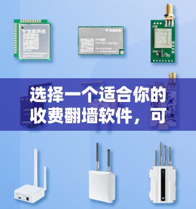 选择一个适合你的收费翻墙软件，可以按照以下步骤进行