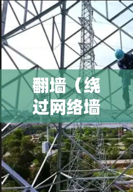 翻墙（绕过网络墙 fence）是现代互联网中的一项技术，旨在绕过网站或平台的访问限制。选择适合自己的翻墙软件，需要根据具体需求和技术能力来决定。以下是一些常见的翻墙软件推荐，根据你的需求和目标来选择