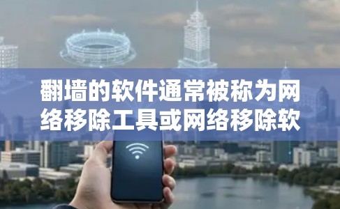 翻墙的软件通常被称为网络移除工具或网络移除软件，用于帮助用户移除或重新配置访问网络的IP地址，以防止网络攻击和网络犯罪。以下是一些常见的翻墙软件及其主要功能