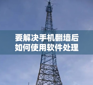 要解决手机翻墙后如何使用软件处理的问题，以下是一步步的解决方案