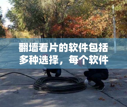 翻墙看片的软件包括多种选择，每个软件有不同的特点和适用场景。以下是详细的分析和推荐