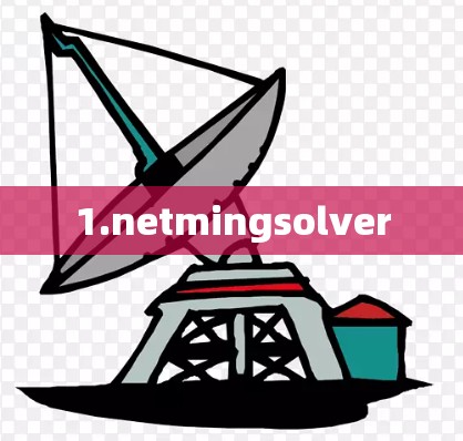 1.netmingsolver