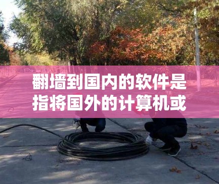 翻墙到国内的软件是指将国外的计算机或网络连接到中国的服务器或网站，以获取所需的资源或服务。以下是一些常用的翻墙软件及其特点