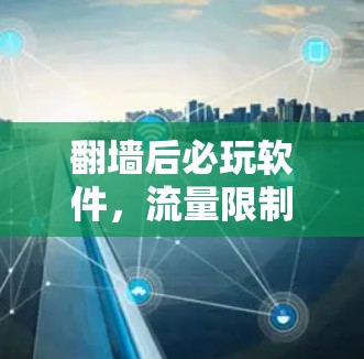 翻墙后必玩软件，流量限制背后的隐私困境