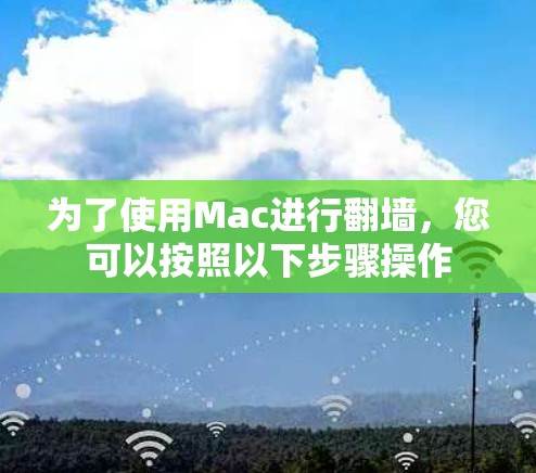 为了使用Mac进行翻墙，您可以按照以下步骤操作