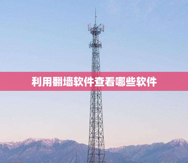 利用翻墙软件查看哪些软件