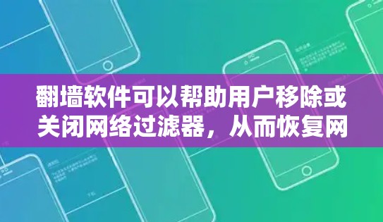 翻墙软件可以帮助用户移除或关闭网络过滤器，从而恢复网络访问，避免被过滤。以下是几种免费的翻墙软件推荐