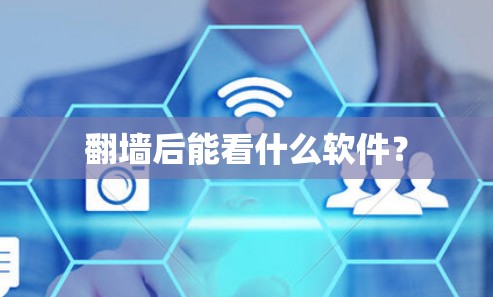 翻墙后能看什么软件？