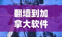 翻墙到加拿大软件可以通过以下步骤实现