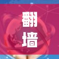 翻墙软件技术支持是一个全面而专业的领域，涵盖了安装、使用、维护、安全评估等多个方面。以下是一些常见的翻墙软件及其技术支持