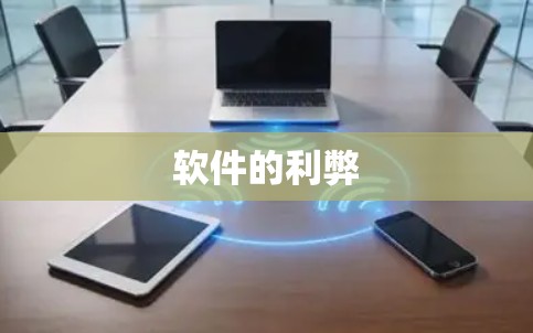 软件的利弊