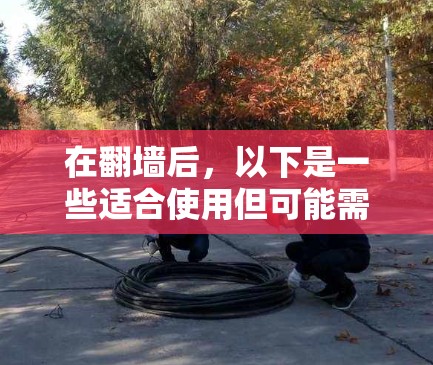在翻墙后，以下是一些适合使用但可能需要访问翻墙后网站的软件推荐，以及它们的使用方法