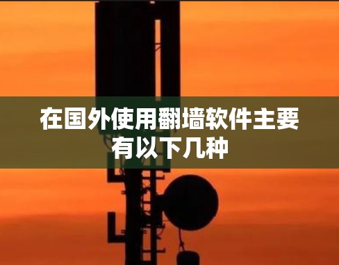 在国外使用翻墙软件主要有以下几种