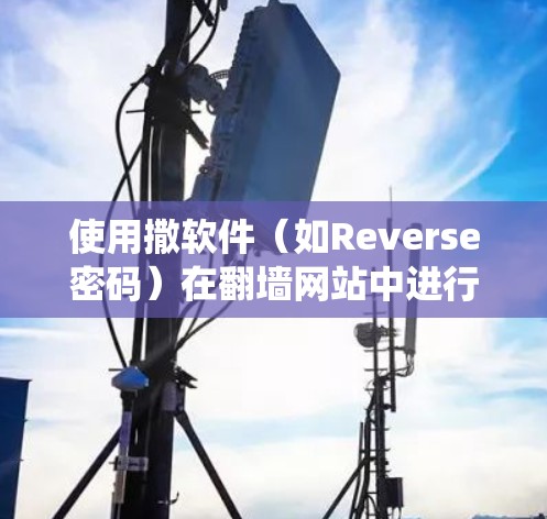 使用撒软件（如Reverse密码）在翻墙网站中进行操作，是防止被系统监控的一种方法。以下是一些步骤和建议，帮助你更好地使用撒软件