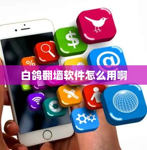 白鸽翻墙软件怎么用啊