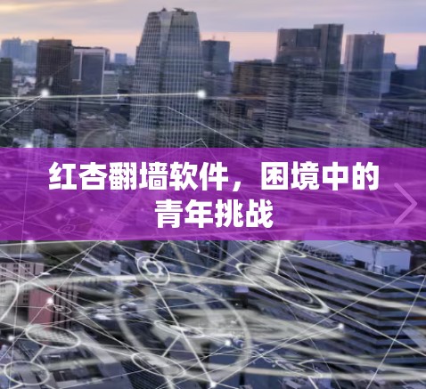 红杏翻墙软件，困境中的青年挑战