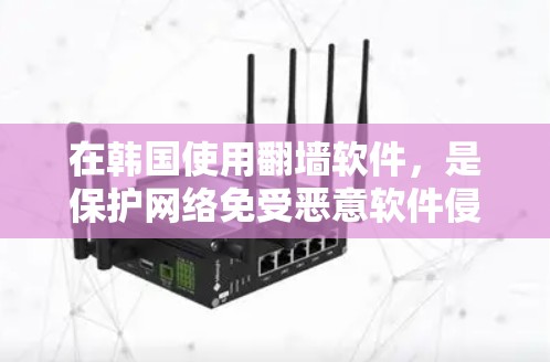 在韩国使用翻墙软件，是保护网络免受恶意软件侵扰的重要手段。韩国的互联网环境相对稳定，但并非没有网络安全风险。以下是一些在韩国使用翻墙软件的情况及注意事项