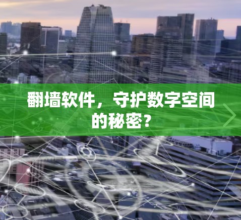 翻墙软件，守护数字空间的秘密？