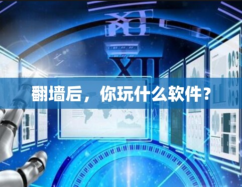 翻墙后，你玩什么软件？