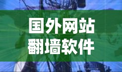 国外网站翻墙软件下载，隐藏的流量来源？